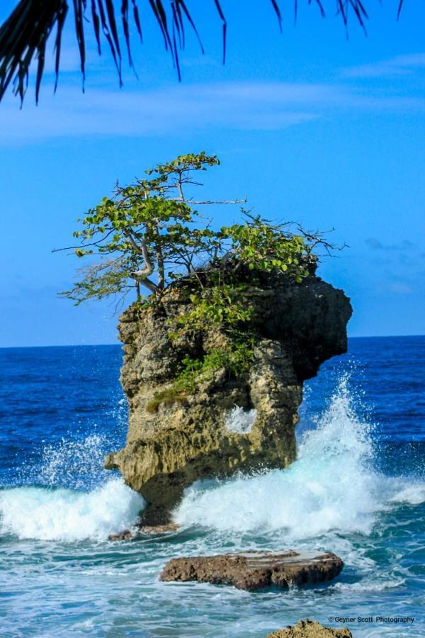 Cabinas Mitchaelle'S Puerto Viejo de Talamanca Esterno foto
