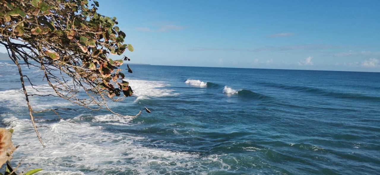 Cabinas Mitchaelle'S Puerto Viejo de Talamanca Esterno foto